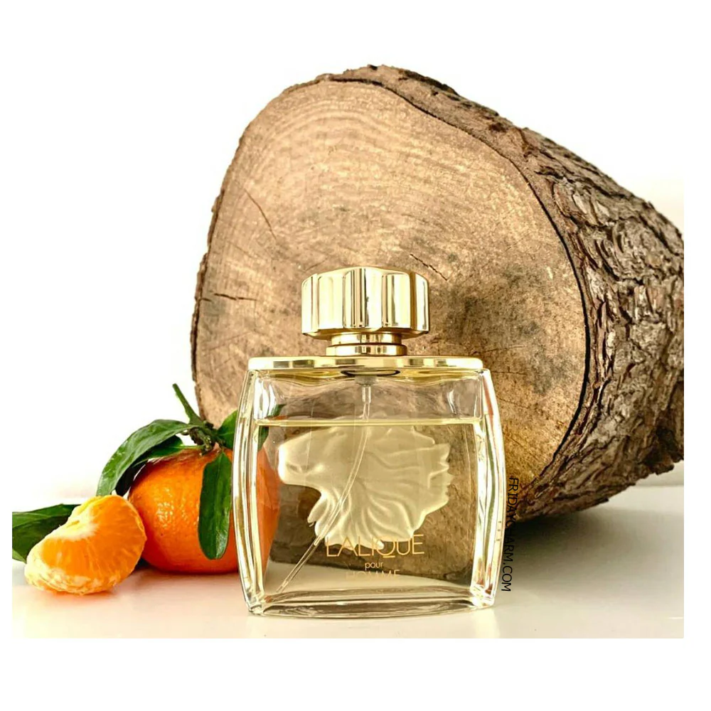 Lalique Pour Homme Lion Eau De Toilette Spray for Men