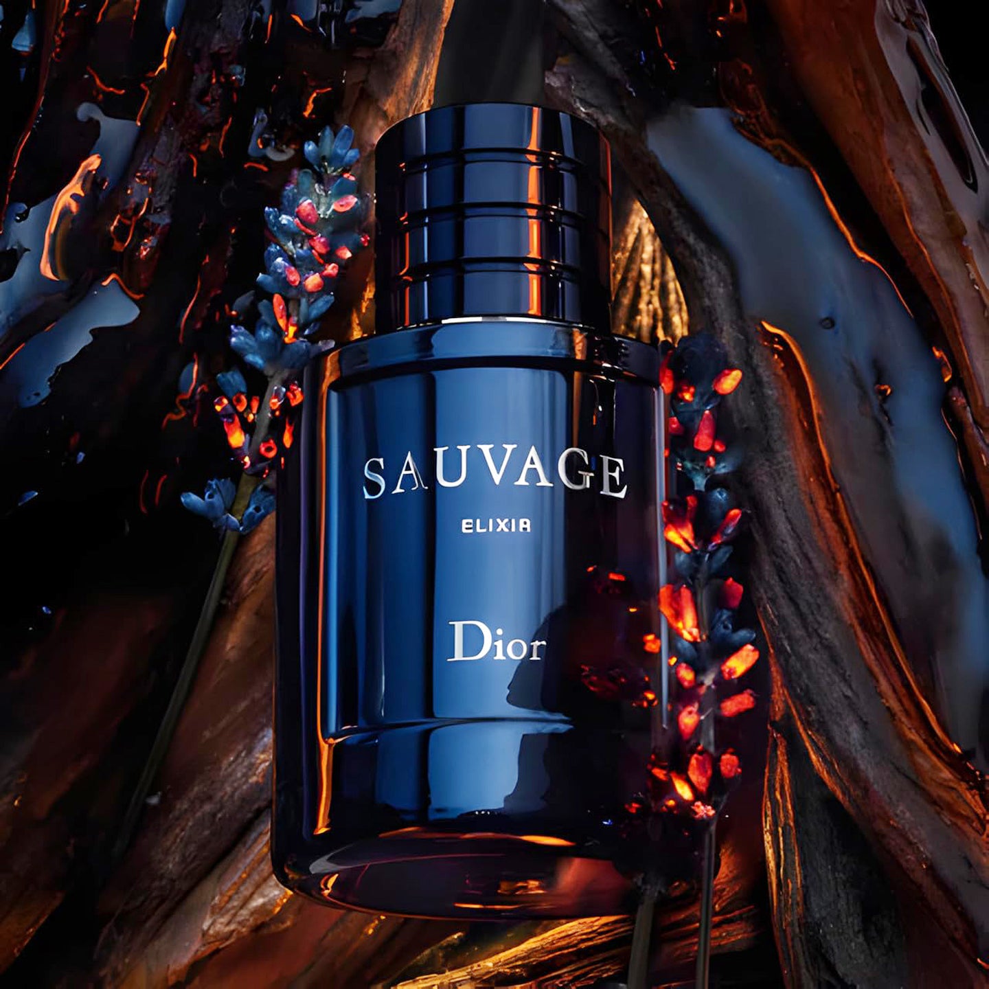 Christian Dior Sauvage Elixir Eau de Parfum Spray 100 ml for Men