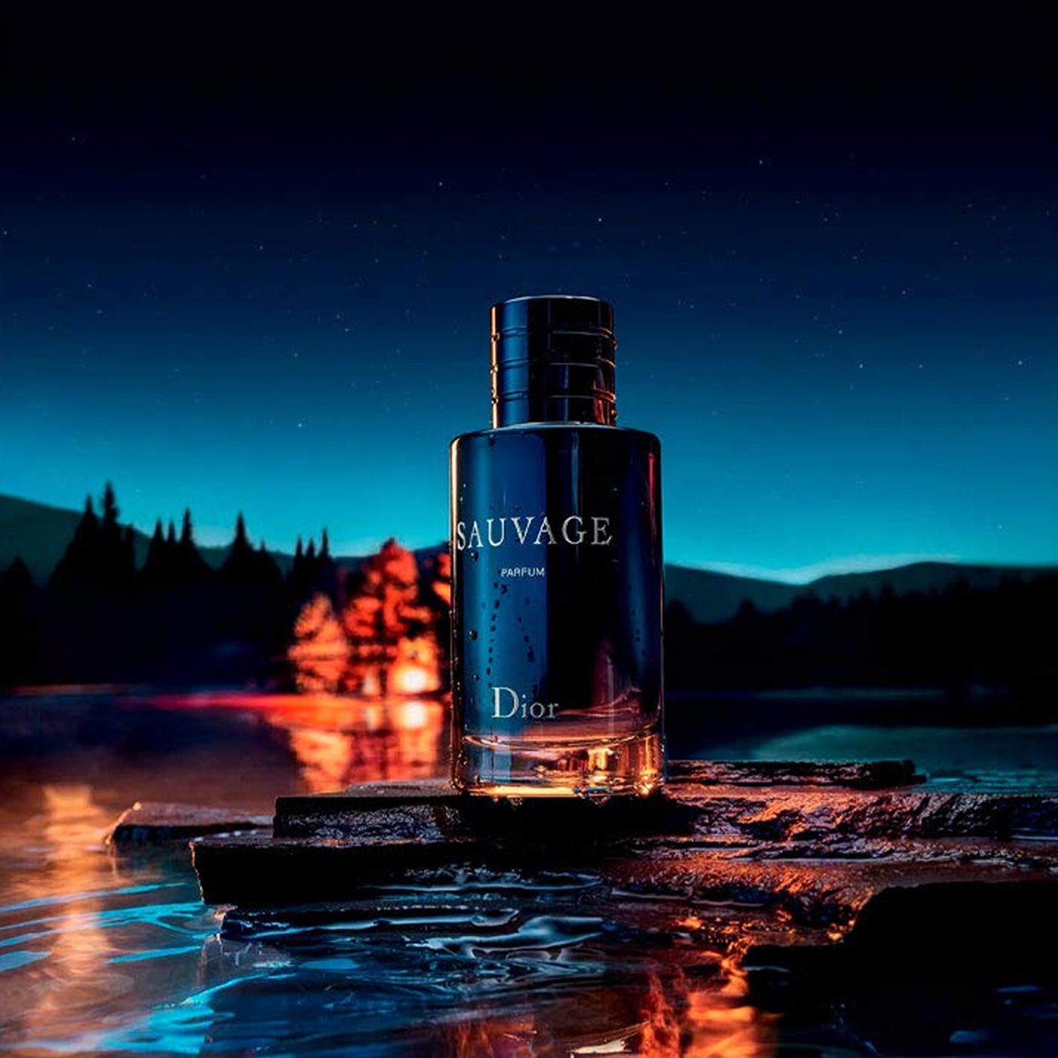 Dior sauvage 60 ml price hotsell