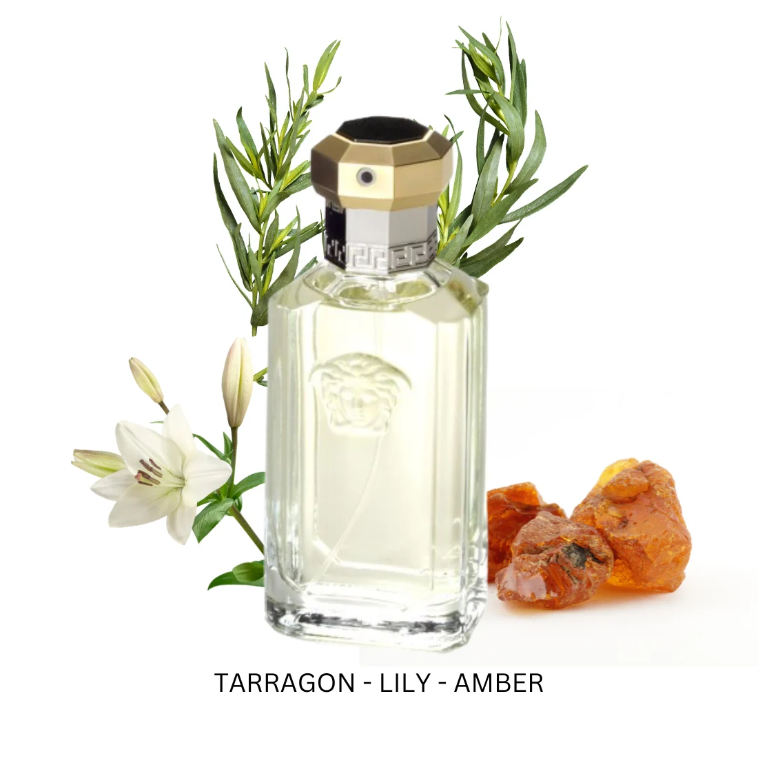 Gianni Versace The Dreamer Eau De Toilette 100ml for Men Parfums Canada