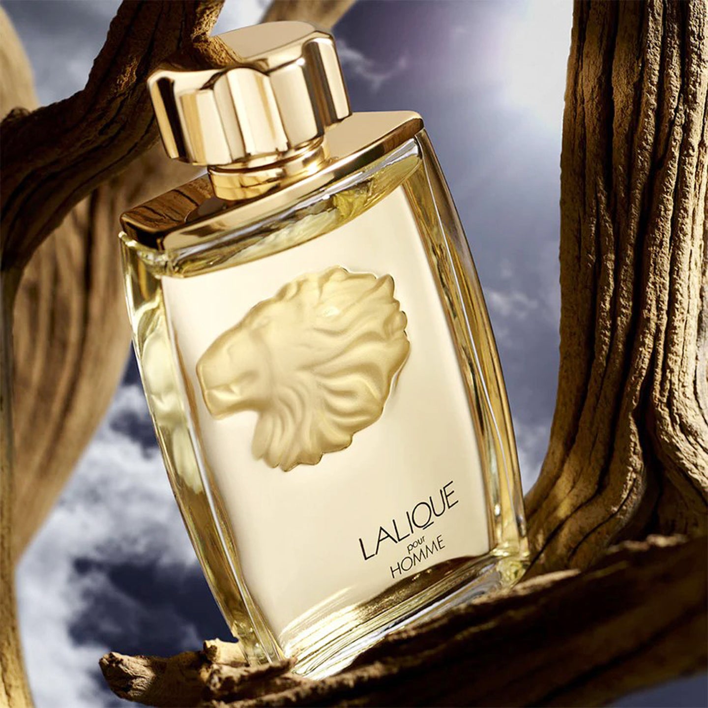 Lalique Pour Homme Eau De Toilette Spray for Men