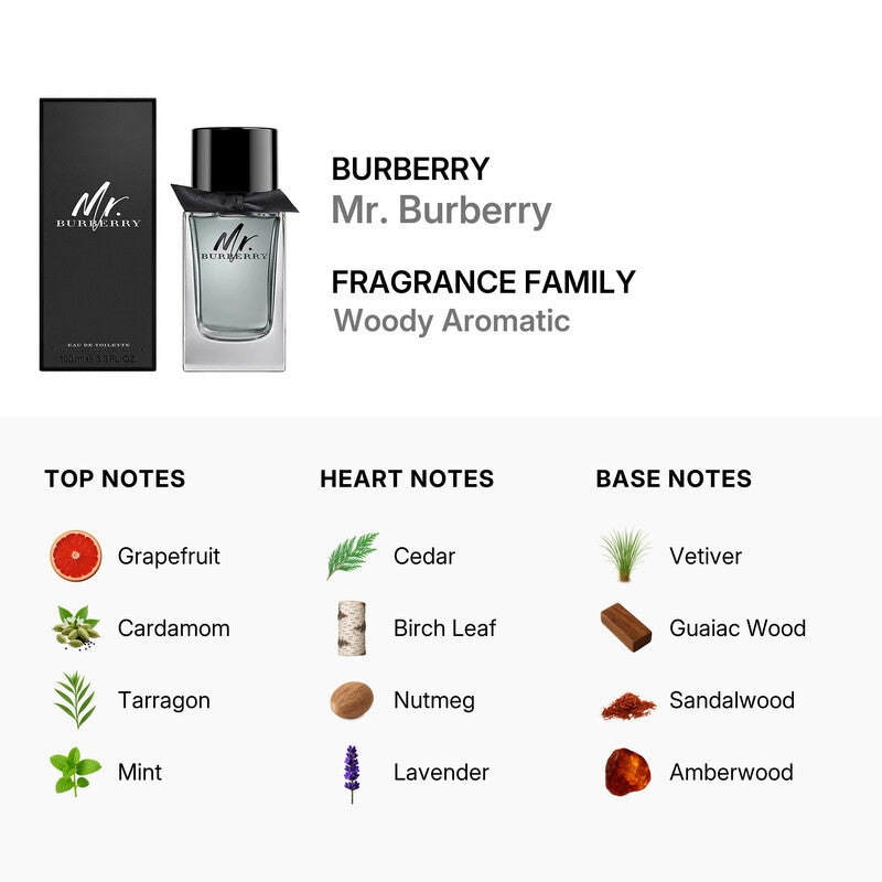 Mr. Burberry Eau de Toilette for Men