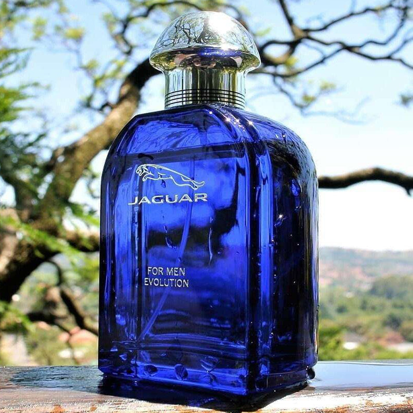 Jaguar Evolution Eau de Toilette Spray 100 ml for Men