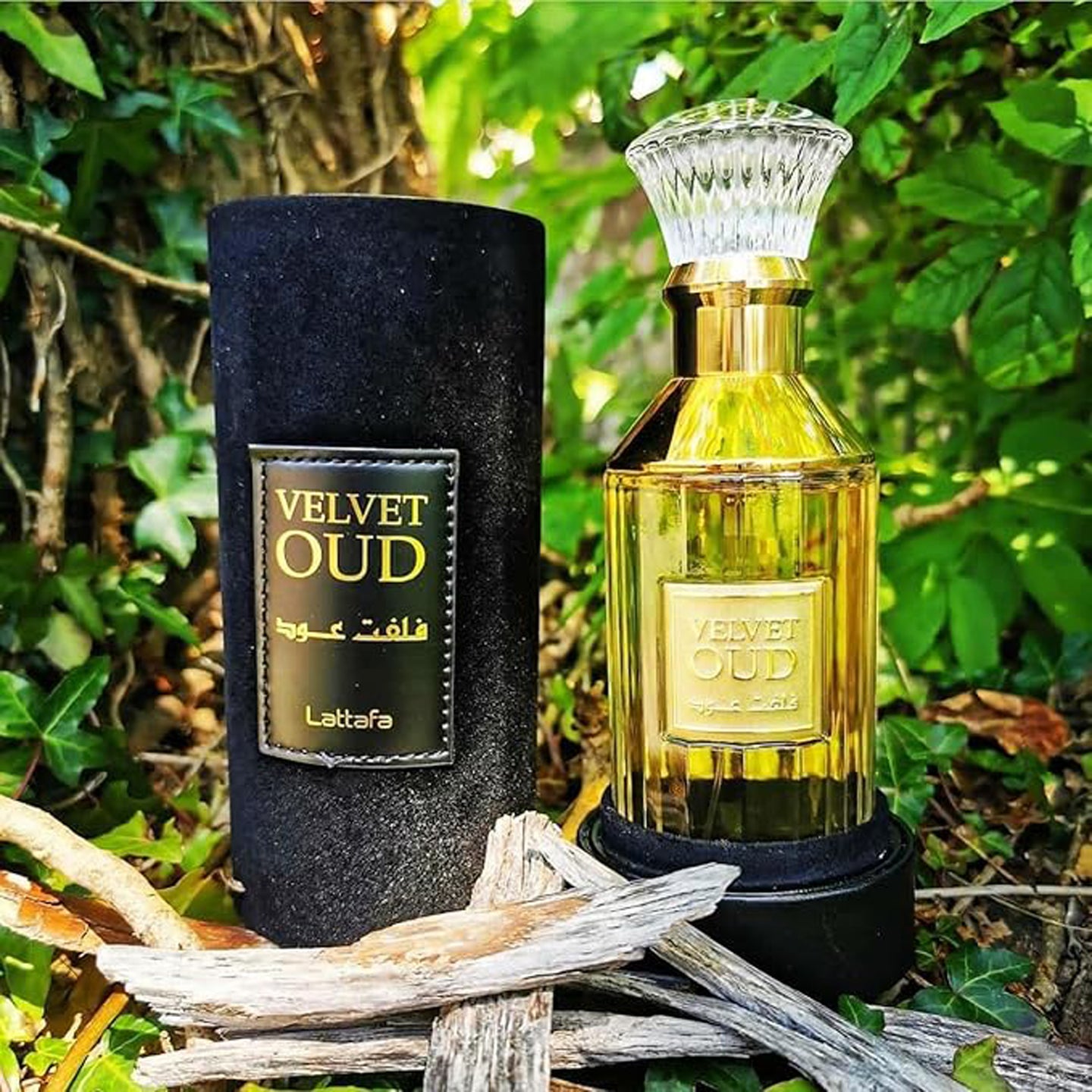 Lattafa Velvet Oud Eau de Parfum Spray 100 ml for Unisex