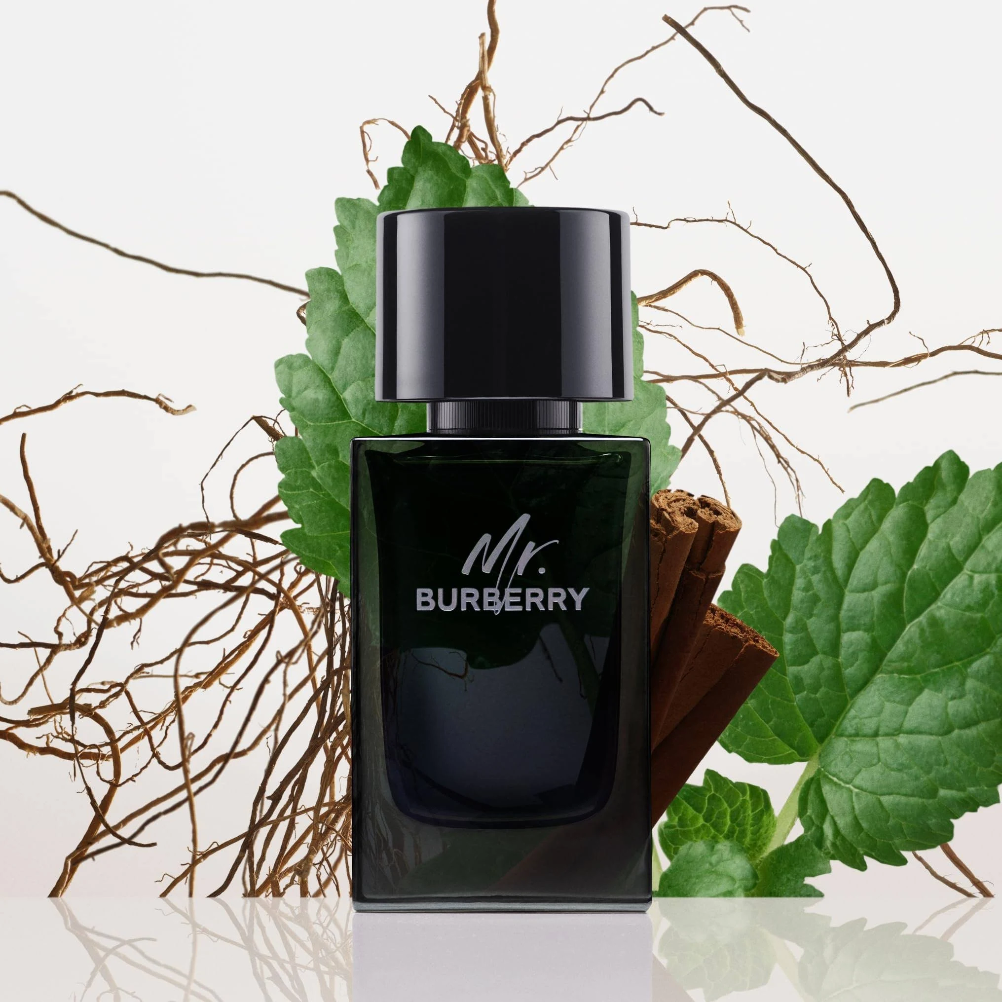 Burberry Mr. Burberry Eau de Parfum Spray 50 ml for Men