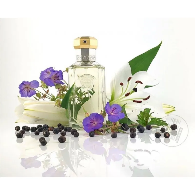 Gianni Versace The Dreamer Eau De Toilette 100ml for Men Parfums Canada