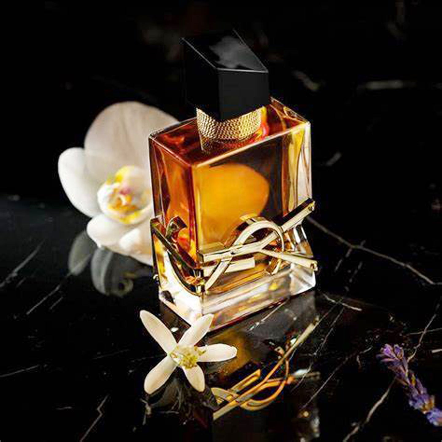 YSL Libre Eau de Parfum 3.0 oz for Women