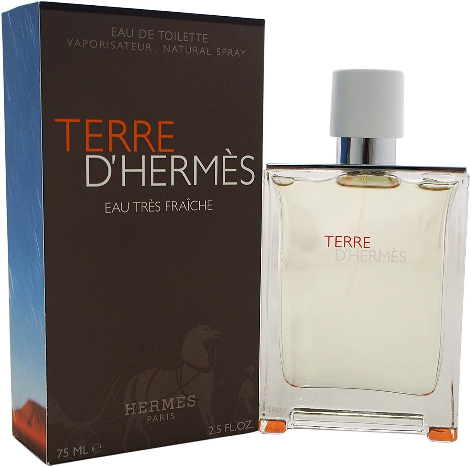 Terre D' Hermes by Hermes Eau De Toilette Spray for Men